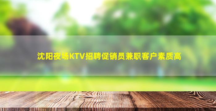 沈阳夜场KTV招聘促销员兼职客户素质高